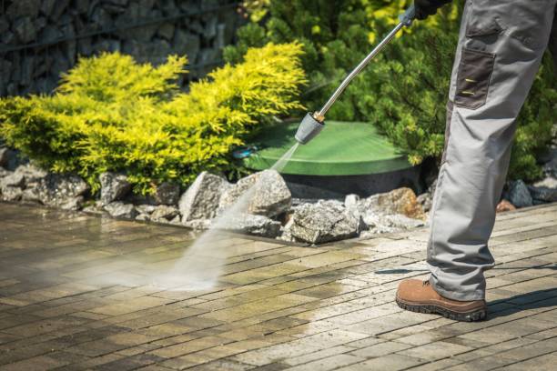 Best Animal Enclosure Cleaning  in Zelienople, PA