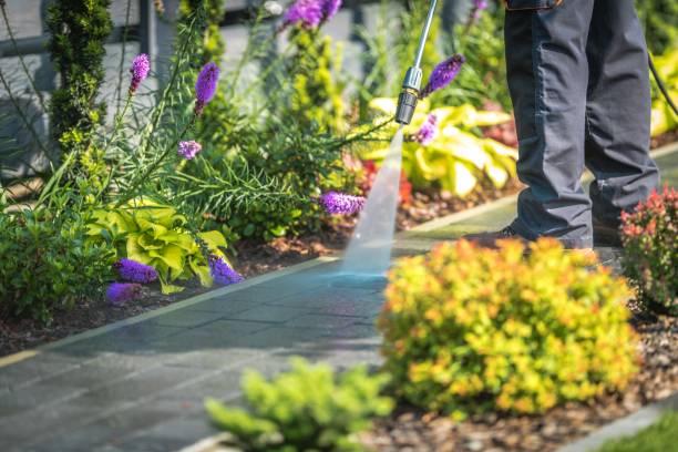 Best Fence Cleaning  in Zelienople, PA