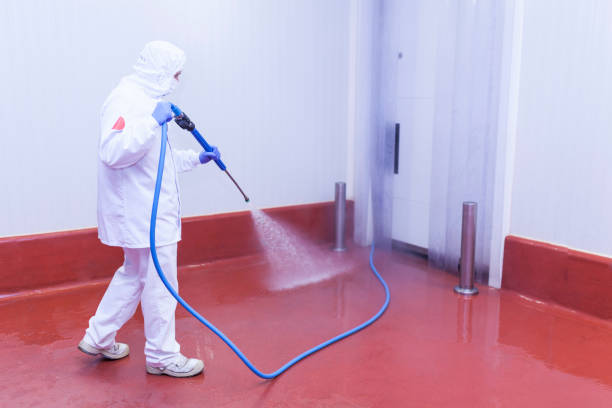  Zelienople, PA Pressure Washing Pros